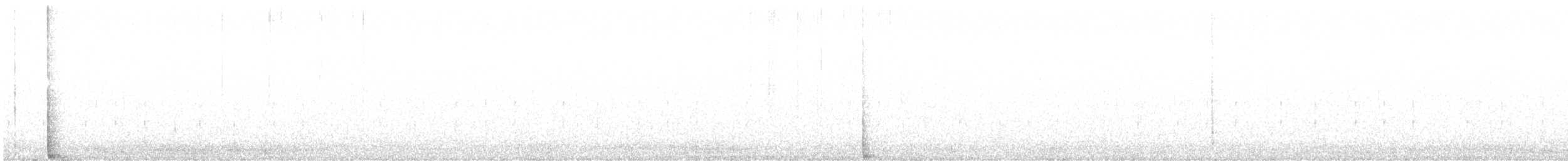 アメリカシマクイナ - ML638124946