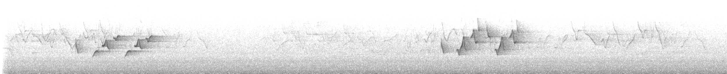 ムジオモリムシクイ - ML638127258