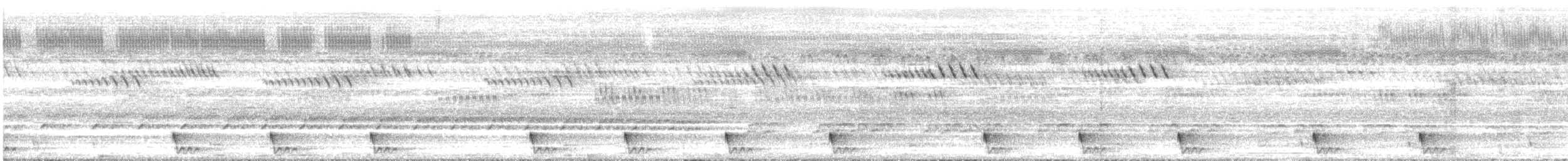 Large-tailed Nightjar - ML638128801