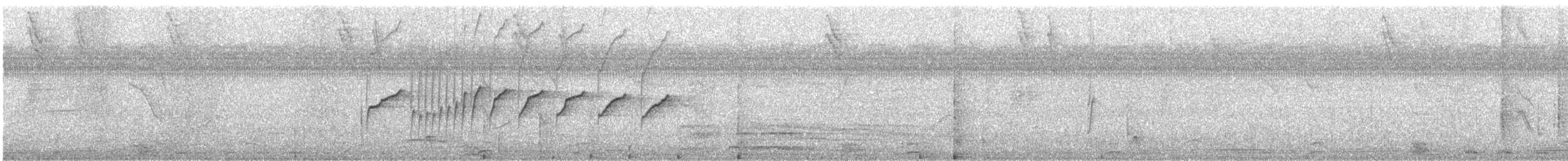 White-throated Jacamar - ML638129287