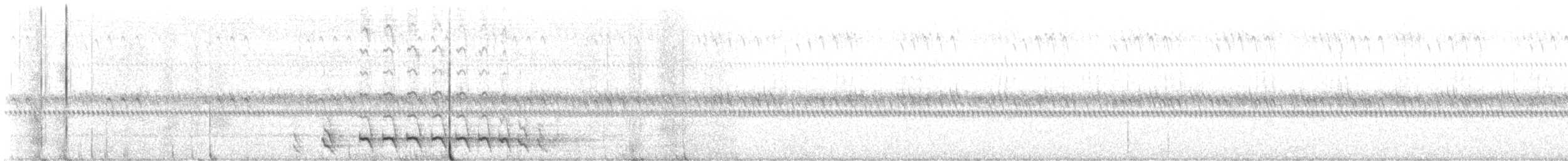 Elf Owl - ML638129325