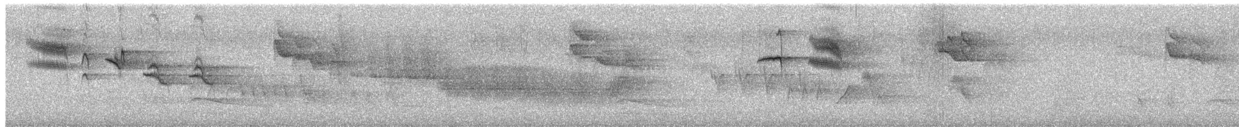 חטפית לבנת-עורף - ML638131343