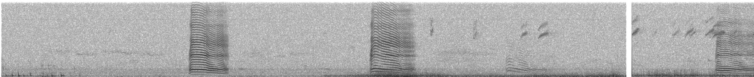 Gray Go-away-bird - ML638134152