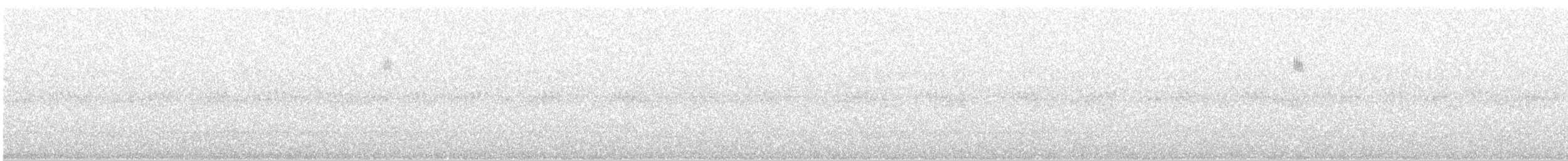 new world warbler sp. - ML638134476