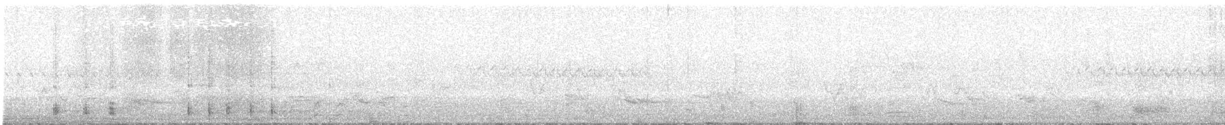 American Crow - ML638134613