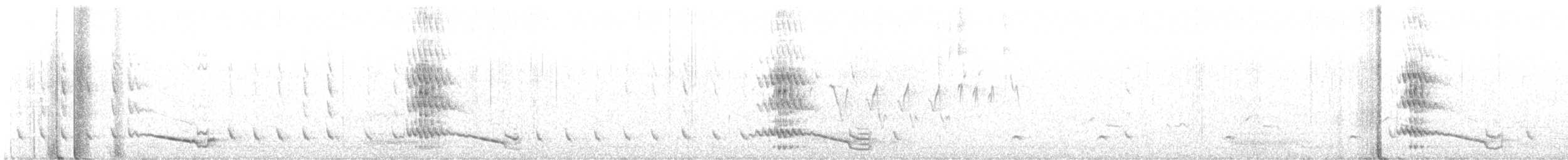 Mountain Quail - ML638135190