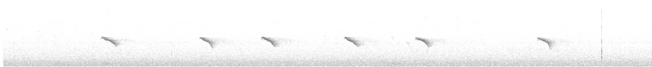 Iberian Chiffchaff - ML638135224