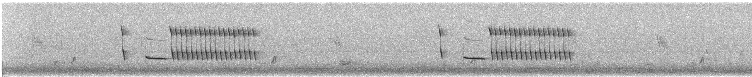 Rufous-winged Sparrow - ML638137786