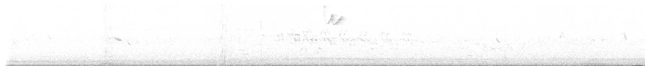Sprague's Pipit - ML638140051