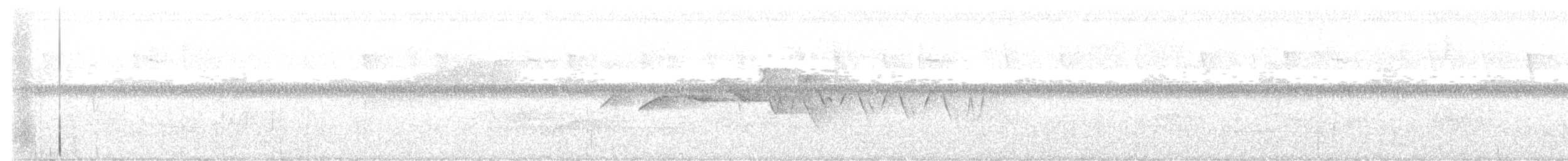 Swainson's Warbler - ML638140385