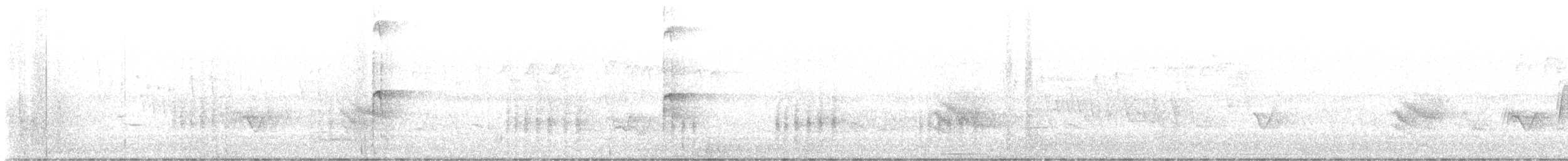 Empidonax sp. - ML638142748