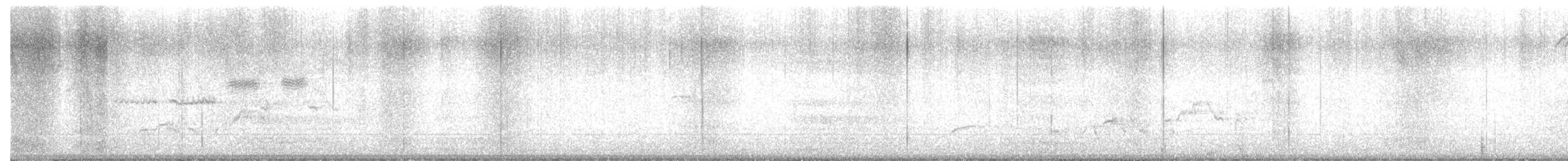 White-crowned Sparrow - ML638143470