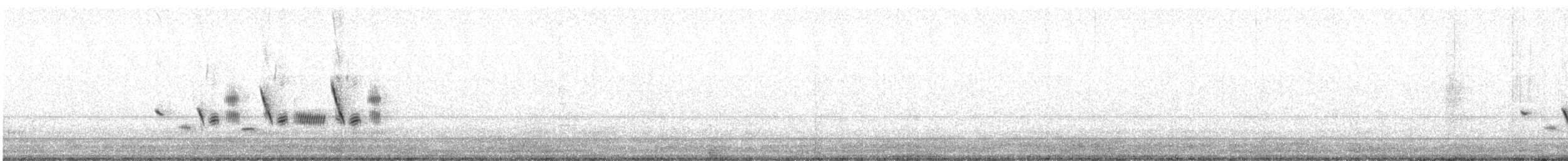 Bell's Sparrow (canescens) - ML638144082