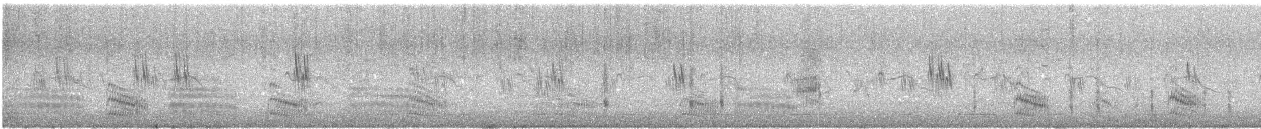 Forster's Tern - ML638144845