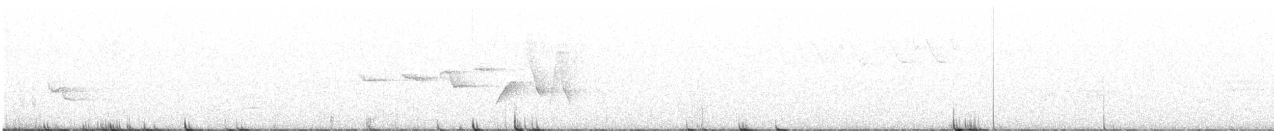 チャカブリアメリカムシクイ - ML638144911