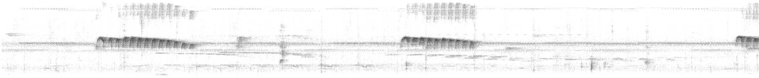 Ornate Stipplethroat - ML638145469