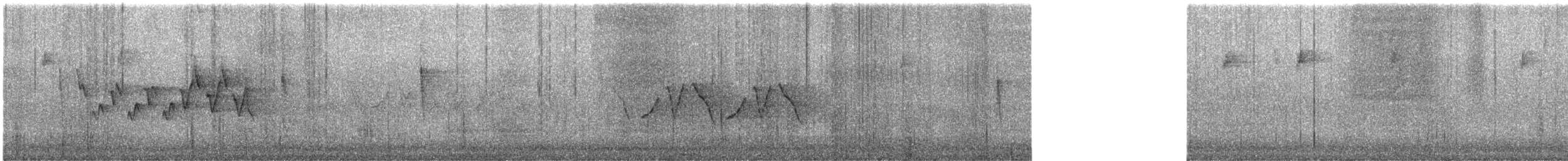 Chestnut-sided Warbler - ML638149403