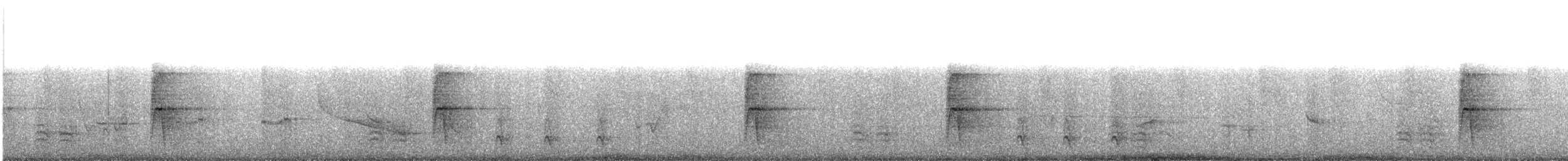 Каролинский поползень (carolinensis) - ML638150377
