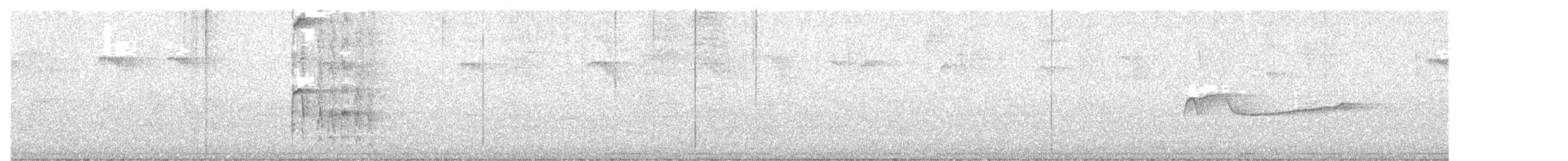 Hairy Woodpecker (Eastern) - ML638150857