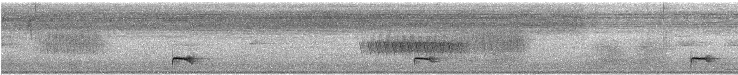 Tordo di Swainson - ML638151891