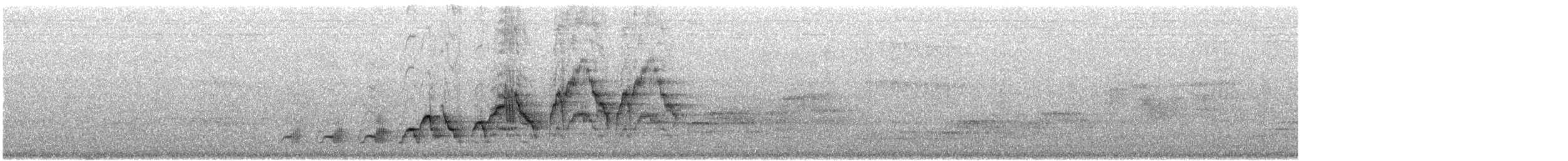 Tordo di Swainson - ML638152037