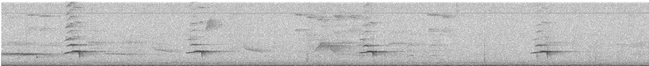 Hauxwell's Thrush - ML638154980