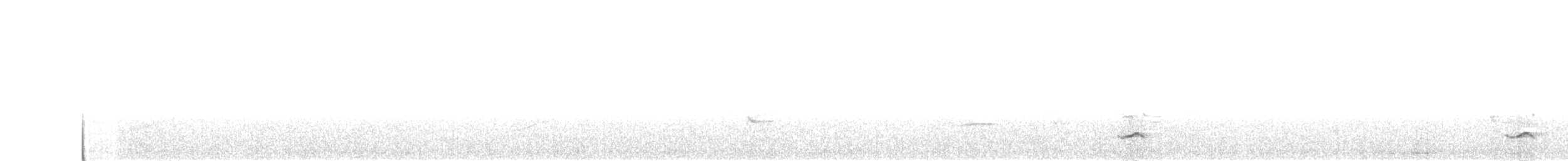 Schwarzkopftrupial - ML638155152