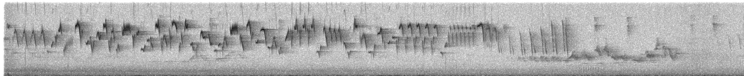 Pacific Wren - ML638155716