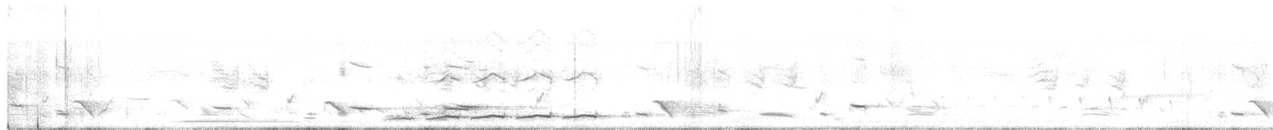 Pacific Koel - ML638156526