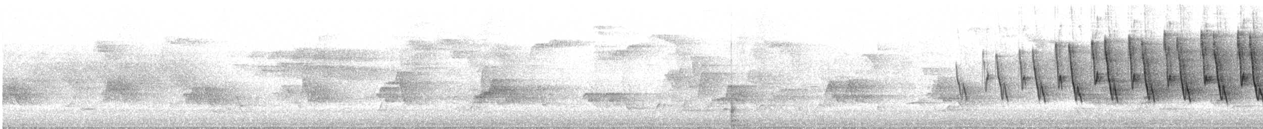 Ovenbird - ML638156759