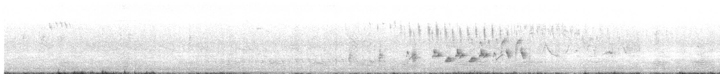 Australian Reed Warbler - ML638157044