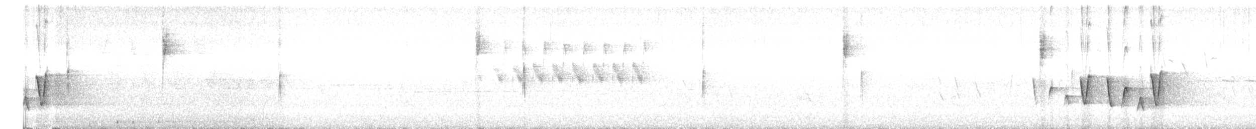 Nashville Warbler - ML638157127