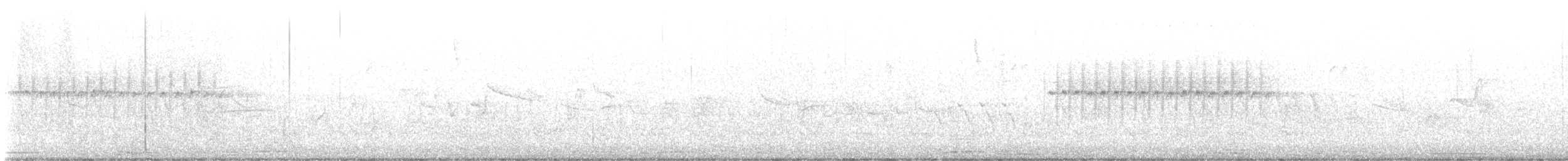 strnadec zimní [skupina oreganus] - ML638160372