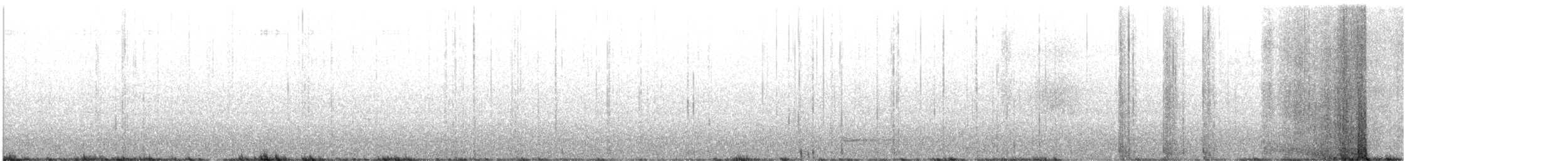 Mountain Quail - ML638160579