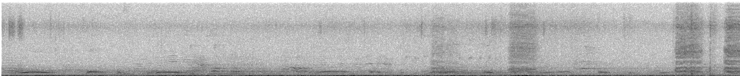 Spot-winged Pigeon - ML638161263