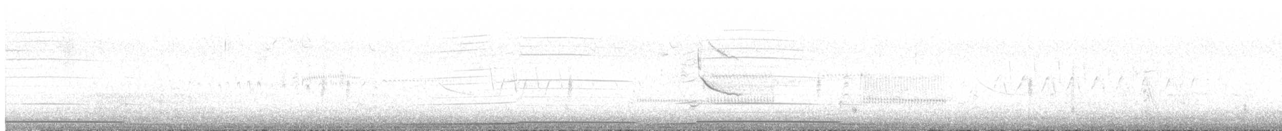 Common Loon - ML638161371