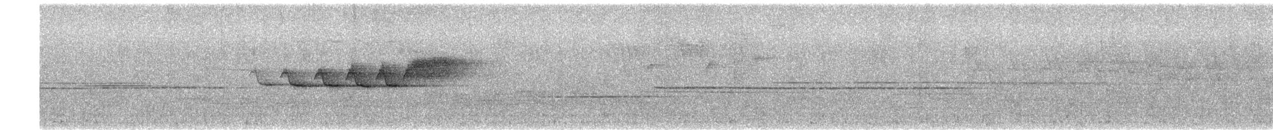 Black-throated Blue Warbler - ML638162457