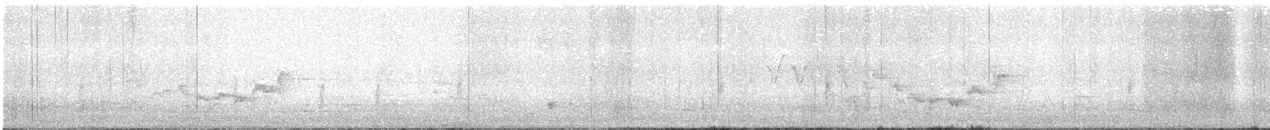 Warbling Vireo - ML638162649