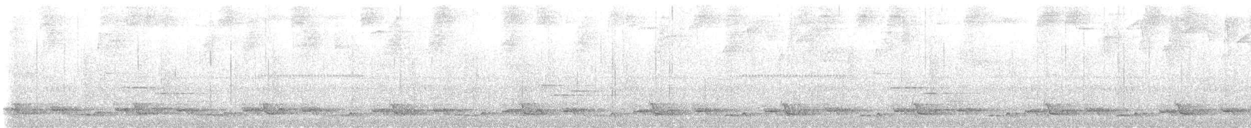křepel bělohrdlý - ML638163724
