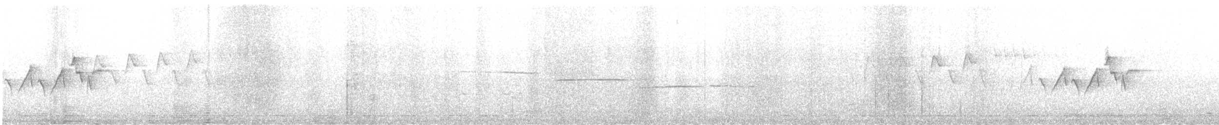 Magnolia Warbler - ML638165038