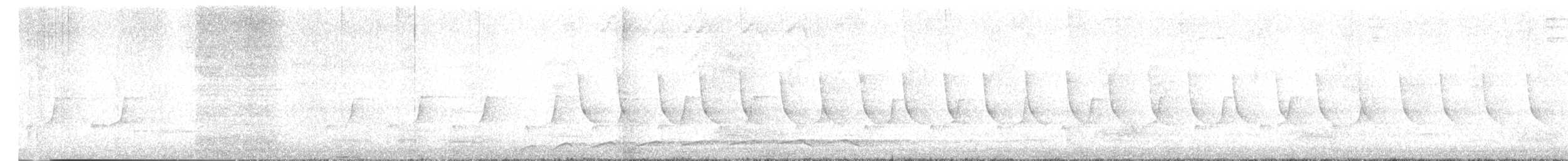 Asian Koel - ML638165190