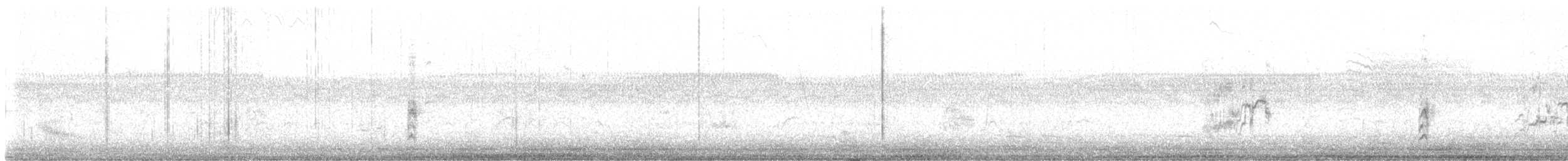 Spotless Crake - ML638166126