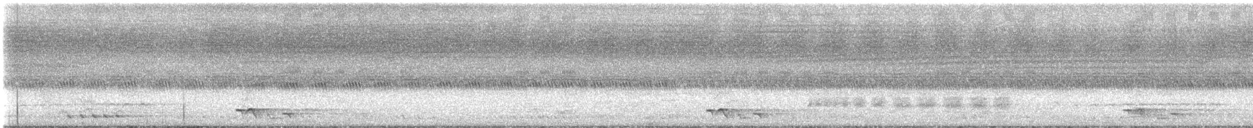 Black-necklaced Scimitar-Babbler - ML638166970