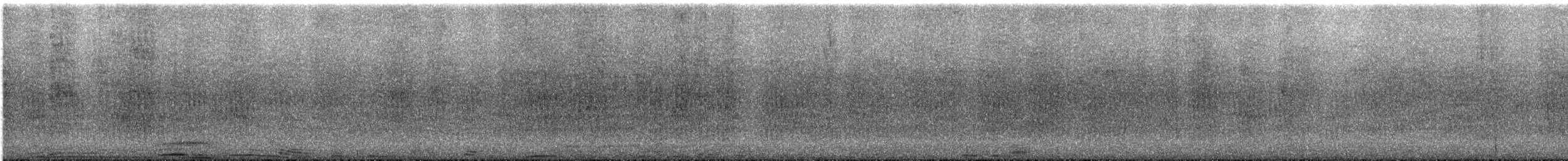 White-cheeked Starling - ML638168410
