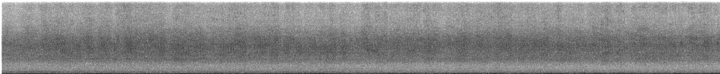 White-cheeked Starling - ML638168494