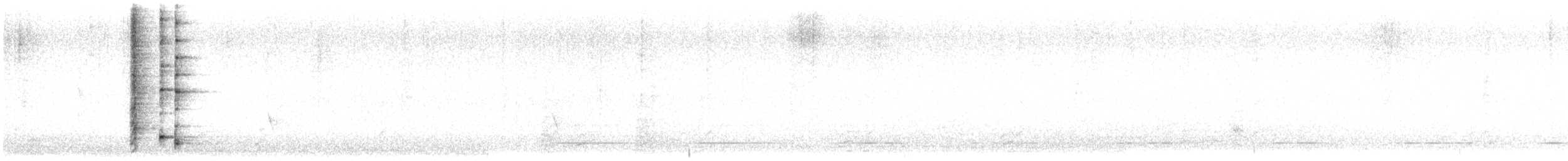 Western Wattlebird - ML638169510