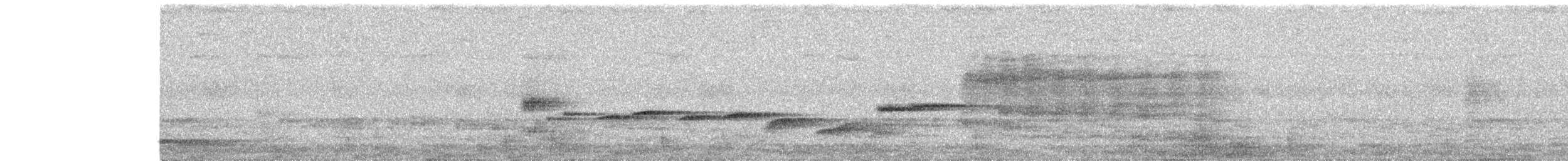 Spot-breasted Fantail - ML638169957