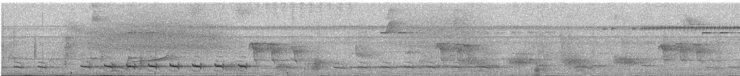White-shouldered Antshrike - ML638170343