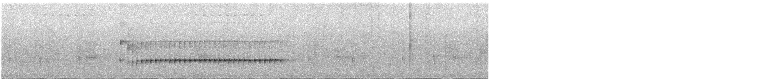 Long-billed Gnatwren - ML638170345