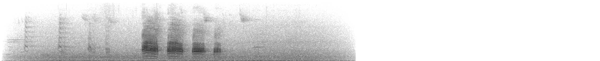 Pacific Black Duck - ML638171428